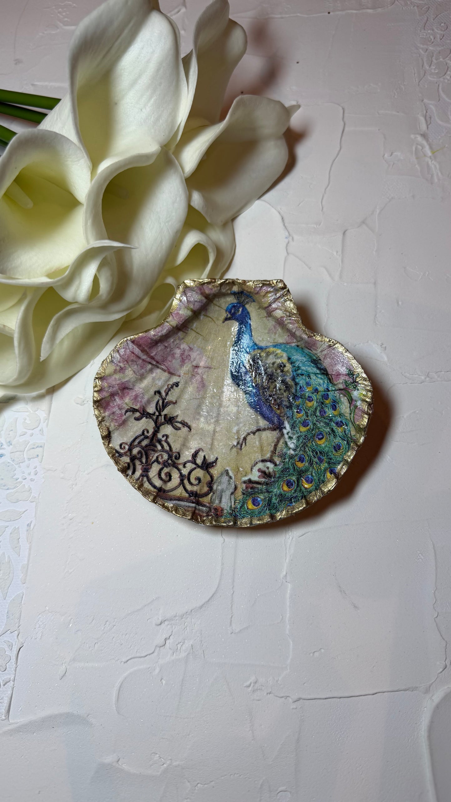 Peacock Scallop Shell Ring Dish